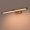 Подсветка для картины Lightstar Noce 201041 100_100_3085796