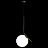 Подвесной светильник Loft it Icl 2578-B 100_100_1844452
