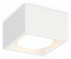 Накладной светильник Ambrella Light TN TN70825 500_191_2442396