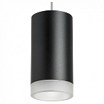 Подвесной светильник Lightstar Rullo RP43730 250_100_1714795