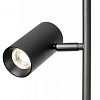 Торшер Citilux Twin CL809011N 100_100_1674498