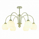 Люстра на штанге MyFar Flora MR2271-6С 250_100_1994670