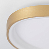 Накладной светильник Citilux GENKA SMART CL756A142 100_100_3086920