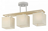 Светильник на штанге Escada Ares 1117/3PL 100_100_2470241