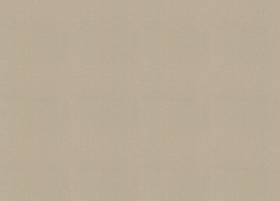 423921 Обои Rasch (1*12) 10,05x0,53 винил на флизелине 400_400_2148307