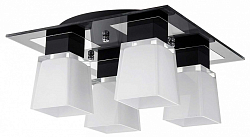 Люстра потолочная Lussole GRLSC-2507-04 250_100_Array