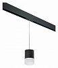 Подвесной светильник Lightstar Rullo PRORP348781 100_100_2460336