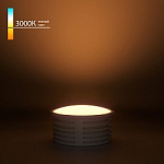 Модуль светодиодный Elektrostandard LED Модуль BMGU1001 250_100_Array