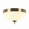 Накладной светильник MyFar Ceiling MR1527-3C 100_100_2395967