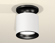 Накладной светильник Ambrella Light XS XS7401082 250_100_2006104