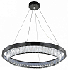 Подвесной светильник Indigo Riva 12045/1P Black 100_100_1971204