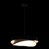 Подвесной светильник Loft it Petale 10256P Black 100_100_1852397