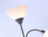 Торшер с подсветкой Ambrella Light TR TR97626 100_100_2017967