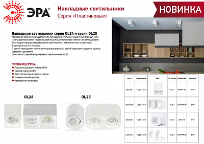 Накладной светильник Эра OL24-1 WH Б0054381 400_400_1950538
