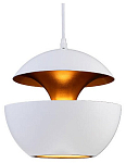 Подвесной светильник Loft it Apple LOFT2213-A 250_100_Array
