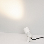 Настенно-потолочный прожектор Arlight RAY 053631 250_100_680152