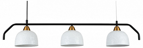 Подвесной светильник Indigo Attimo 10005/3PL Black 500_191_2458970