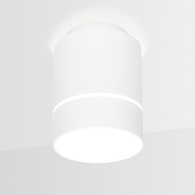 Накладной светильник Ambrella Light TN TN255 400_400_2001779