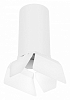 Накладной светильник Lightstar Rullo R6486486 100_100_2448437