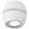 Накладной светильник Reluce 81174 81174-9.5-001MZ COB8W WT 100_100_3110975