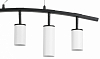 Подвесной светильник Lightstar Rullo LR735363862 100_100_1716625