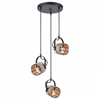 Подвесной светильник Vele Luce Extra VL6472P13 400_400_1910361