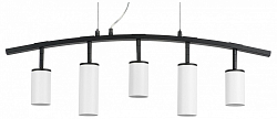 Подвесной светильник Lightstar Rullo LR735363862 250_100_Array