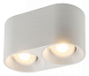 Накладной светильник Denkirs DK3040 DK3036-WH 100_100_1913086