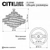 Подвесная люстра Citilux Naiad CL315192 100_100_1694683