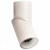 Спот Omnilux Arlate OML-101809-12 100_100_2242993