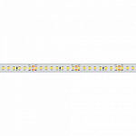 Лента светодиодная Arlight RTW герметичная 024555(2) 250_100_1894372