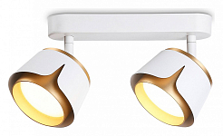 Спот Ambrella Light TN TN71229 250_100_2022511