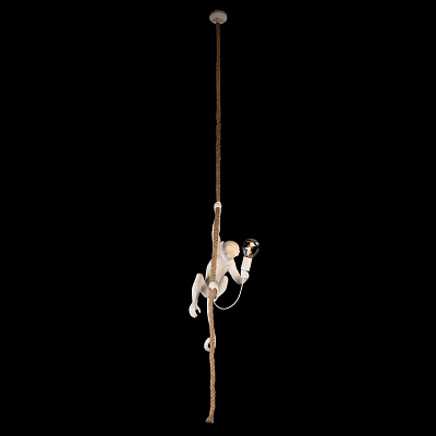 Подвесной светильник Loft it Monkey 10314P 400_400_1850313