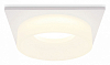 Встраиваемый светильник Ambrella Light TN TN1314 100_100_2013944