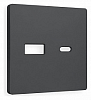 Накладка для розетки type A и C Ambrella Volt ALFA AP9110 100_100_2306733