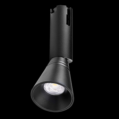 Светильник на штанге Lightstar Due Hermes 210847 400_400_2837699