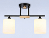 Светильник на штанге Ambrella Light TR TR9543 100_100_2181123