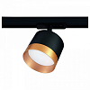Светильник на штанге Ambrella Light GL GL5365 100_100_2016650