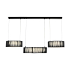 Подвесная люстра Lumion LEDIO 8371/70L 100_100_3078317