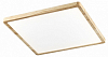 Накладной светильник Citilux Бейсик CL738K502V 100_100_3148563