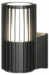 Светильник на штанге Denkirs Farsun DK9722-BK 250_100_Array