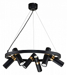 Подвесная люстра Favourite Light point 2997-6P 250_100_1766725