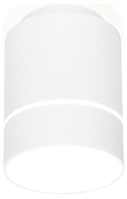 Накладной светильник Ambrella Light TN TN255 400_400_2442315