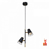 Подвесной светильник F-promo Trandy 4618-2P 100_100_2457427