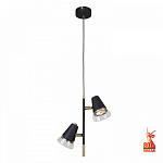 Подвесной светильник F-promo Trandy 4618-2P 250_100_Array