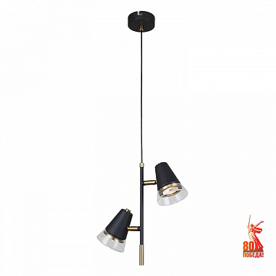 Подвесной светильник F-promo Trandy 4618-2P 400_400_2457427