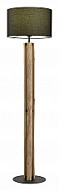Торшер Lussole LSP-0658 500_191_2330270