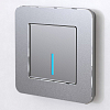 Рамка на 1 пост Werkel Platinum (алюминий) W0012606 100_100_2130337