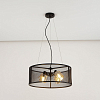 Подвесной светильник Citilux Робин CL535245 100_100_1689120