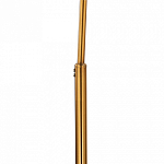 Торшер Arte Lamp Paolo A5822PN-1PB 250_100_1822963
